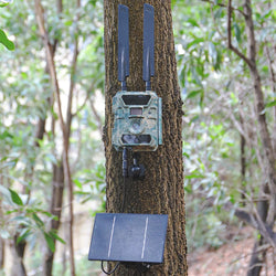 D4R 4W Solar Power Panel 18000mAh Powerbank Solar Fast Charging IP66 Waterproof 5V 6V Output Micro USB/Type C DC For Wild Camera