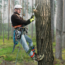 1 Pair Tree Climbing Tools Spike Set Climb Trees Rope Tool with Safety Belt for Outdoor Jungle Survival Climbing Fruit Picking
