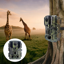 Outdoor Trail Camera 20MP 1080P HD Hunting IP66 Waterproof Infrared Night Vision Motion Activated Surveillance Trap Camera