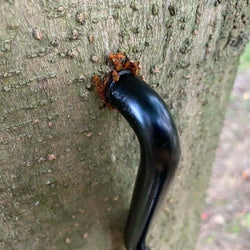 Steel Tree Stand Step Self-Tapping Knurling Pattern Tree Mount Bow Hangers For Hunting Tree Steps Hunting Accessories