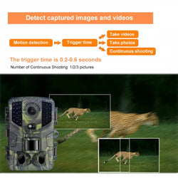 Outdoor Trail Camera 20MP 1080P HD Hunting IP66 Waterproof Infrared Night Vision Motion Activated Surveillance Trap Camera