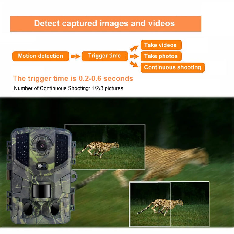 Outdoor Trail Camera 20MP 1080P HD Hunting IP66 Waterproof Infrared Night Vision Motion Activated Surveillance Trap Camera