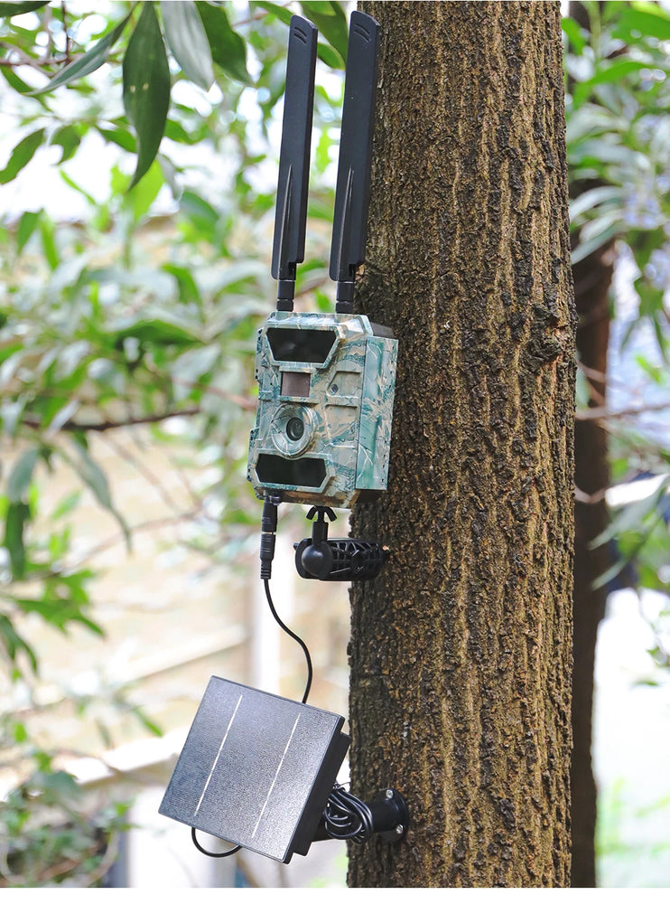D4R 4W Solar Power Panel 18000mAh Powerbank Solar Fast Charging IP66 Waterproof 5V 6V Output Micro USB/Type C DC For Wild Camera