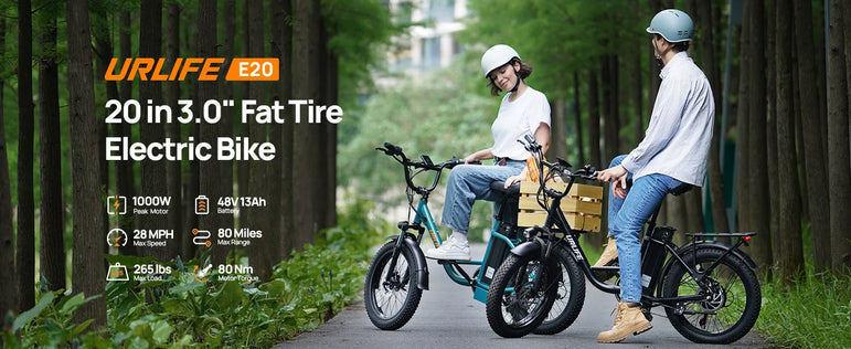 745W 20x3" Fat Tire Electric Bike 48V 13Ah Removable Battery 20MPH 7-Speed Gears Dual Disc Brakes Adult Moped for Off-Road City