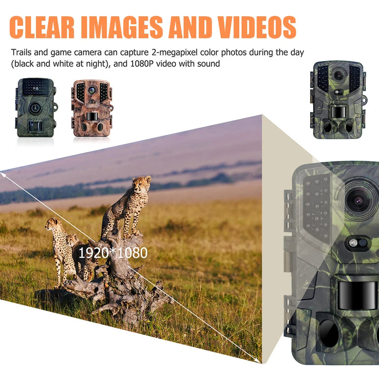 Outdoor Trail Camera 20MP 1080P HD Hunting IP66 Waterproof Infrared Night Vision Motion Activated Surveillance Trap Camera