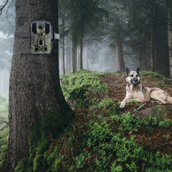 Outdoor Trail Camera 20MP 1080P HD Hunting IP66 Waterproof Infrared Night Vision Motion Activated Surveillance Trap Camera