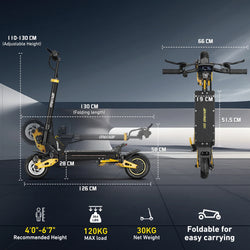 IENYRID IE-ES1 Foldable Electric Scooter 2x1200W Dual Motor Peak 3000W 48V20.8Ah Lithium Battery E-Scooter 10-inch Tires