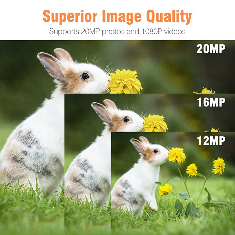 Outdoor Trail Camera 20MP 1080P HD Hunting IP66 Waterproof Infrared Night Vision Motion Activated Surveillance Trap Camera