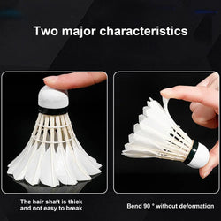 Professional Badminton Shuttlecock Training Sport Badminton Ball Duck Feather Shuttlecocks Sports Training Badminton Balls
