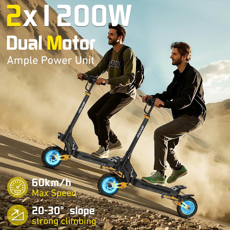 IENYRID IE-ES1 Foldable Electric Scooter 2x1200W Dual Motor Peak 3000W 48V20.8Ah Lithium Battery E-Scooter 10-inch Tires