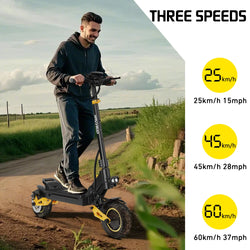 IENYRID IE-ES1 Foldable Electric Scooter 2x1200W Dual Motor Peak 3000W 48V20.8Ah Lithium Battery E-Scooter 10-inch Tires
