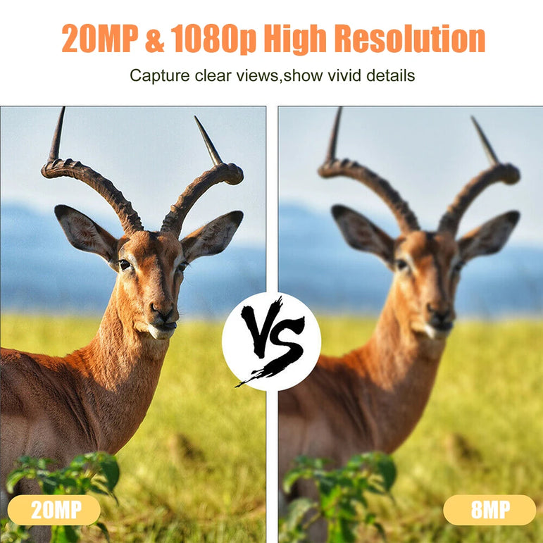 Outdoor Trail Camera 20MP 1080P HD Hunting IP66 Waterproof Infrared Night Vision Motion Activated Surveillance Trap Camera