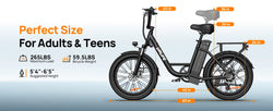 745W 20x3" Fat Tire Electric Bike 48V 13Ah Removable Battery 20MPH 7-Speed Gears Dual Disc Brakes Adult Moped for Off-Road City