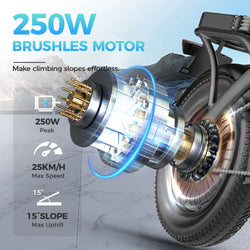 EU Warehouse Electric Bike Bicycle Exercise Electric City Bike E Bike TOOFLY Folding Ebike 250W