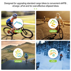 Bafang 48V 52V 1000W CAN Motor BBSHD Ebike Conversion Kit Electric Bicycle Mid Drive Engine BBS03 M615 MM G320.1000.C
