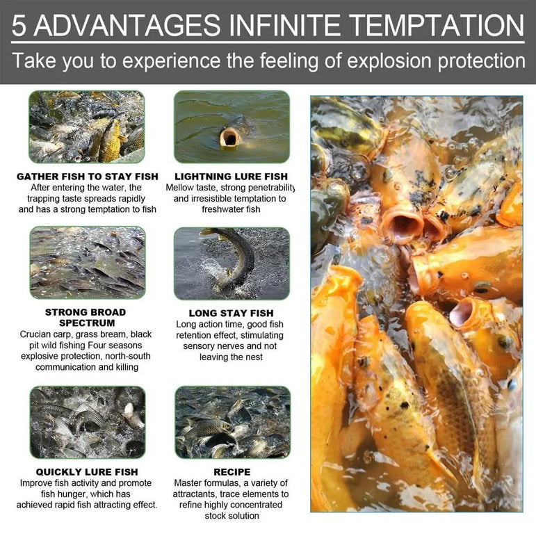Bait Scent For Fishing Fishing Scent Powder Fish Bite And Hold On Longer Fish Bait Attractant Enhancement For Trout Cod Carp