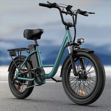 745W 20x3" Fat Tire Electric Bike 48V 13Ah Removable Battery 20MPH 7-Speed Gears Dual Disc Brakes Adult Moped for Off-Road City