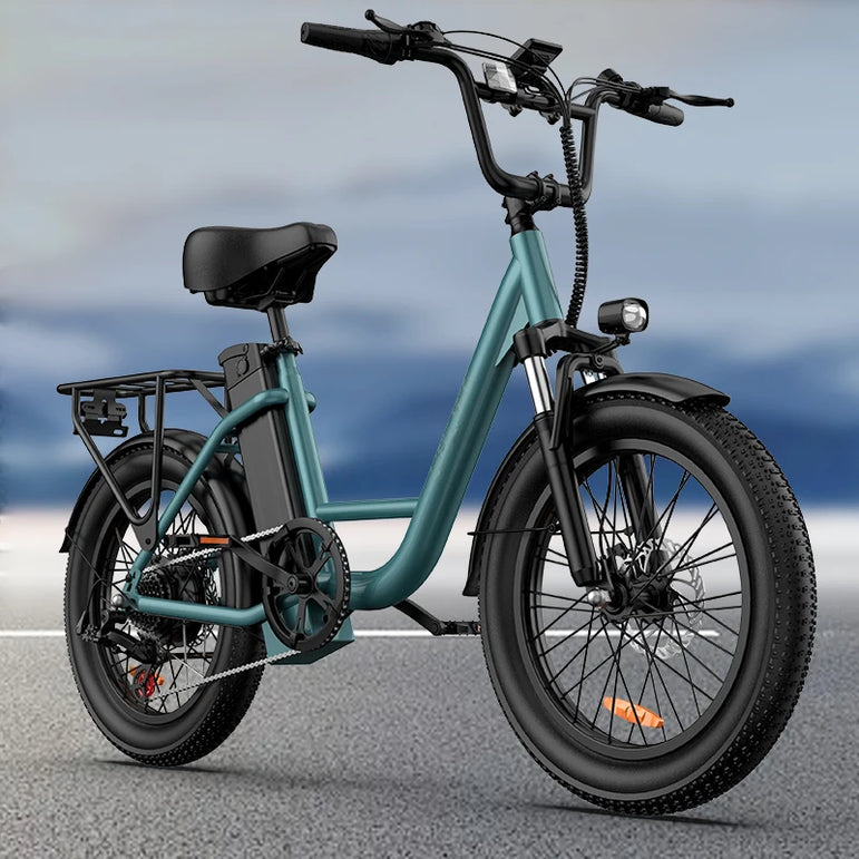 745W 20x3" Fat Tire Electric Bike 48V 13Ah Removable Battery 20MPH 7-Speed Gears Dual Disc Brakes Adult Moped for Off-Road City