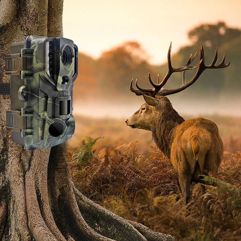Outdoor Trail Camera 20MP 1080P HD Hunting IP66 Waterproof Infrared Night Vision Motion Activated Surveillance Trap Camera
