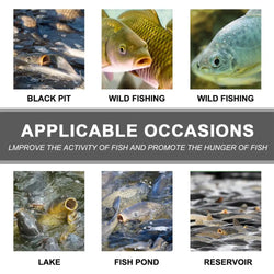 Bait Scent For Fishing Fishing Scent Powder Fish Bite And Hold On Longer Fish Bait Attractant Enhancement For Trout Cod Carp