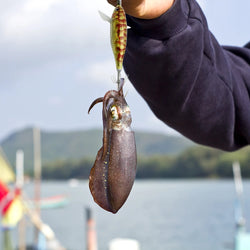 1pcs Luminous Horizontal Squid Jig Wood Shrimp Squid Hook Artificial Bait Octopus Cuttlefish Shrimp Saltwater Hard Bait Tackle