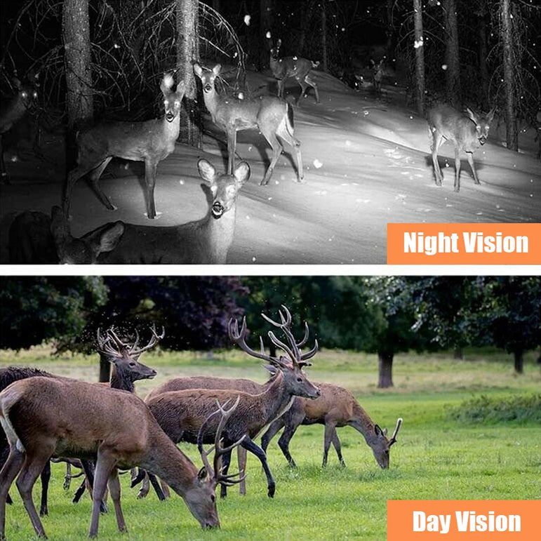 Outdoor Trail Camera 20MP 1080P HD Hunting IP66 Waterproof Infrared Night Vision Motion Activated Surveillance Trap Camera