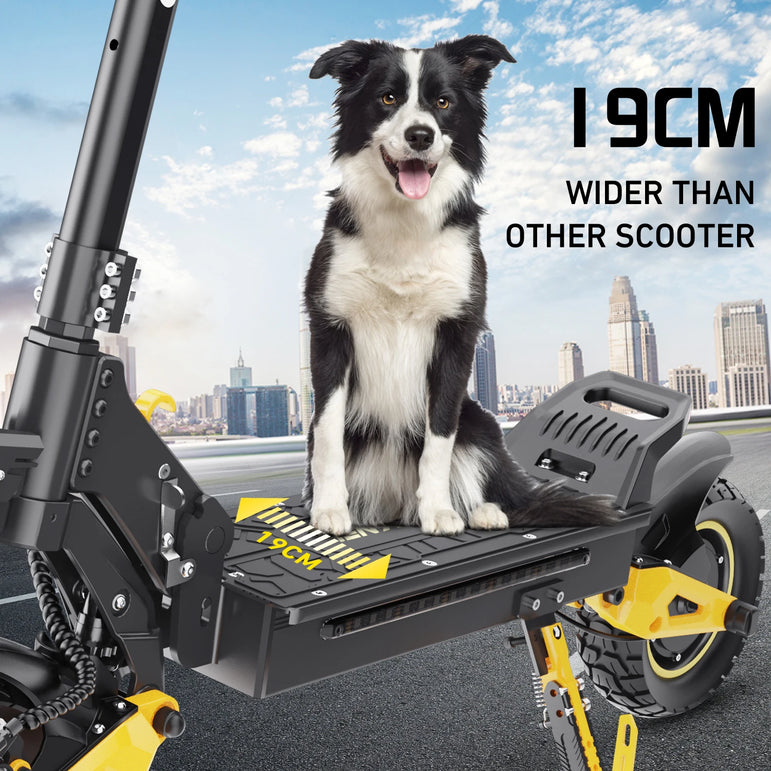 IENYRID IE-ES1 Foldable Electric Scooter 2x1200W Dual Motor Peak 3000W 48V20.8Ah Lithium Battery E-Scooter 10-inch Tires