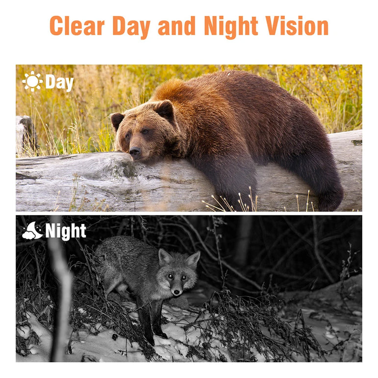 Outdoor Trail Camera 20MP 1080P HD Hunting IP66 Waterproof Infrared Night Vision Motion Activated Surveillance Trap Camera