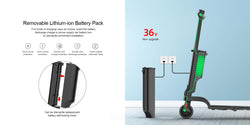 HX Foldable Electric scooter 7.5A 350W 25KM/H electric scooters 36V EScooters 5.5 Inch E Scooter For Adults